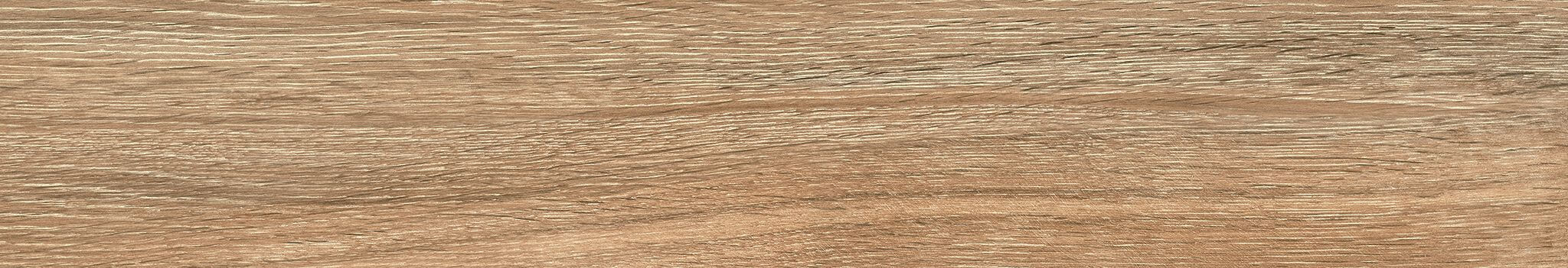 WIND OAK 6